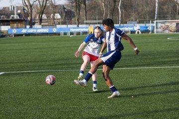 Bild 447 - wBJ Hamburger SV - Hertha BSC : Ergebnis: 2:1